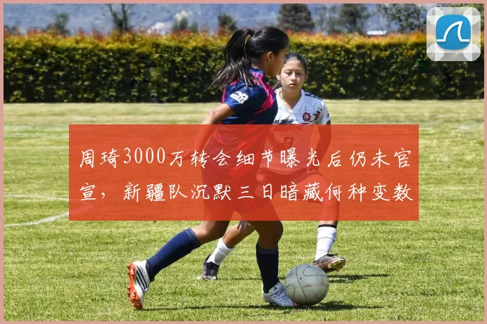 周琦3000万转会细节曝光后仍未官宣，新疆队沉默三日暗藏何种变数？